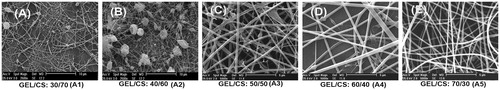 Figure 1. SEM images of electrospun fibers of GEL/CS: (A) 30/70, (B) 40/60, (C) 50/50, (D) 60/40, and (E) 70/30(wt./wt.).