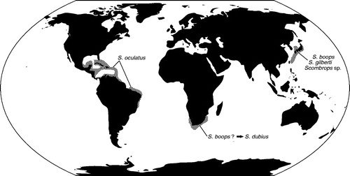 Figure 1. Geographic distribution of the scombropid fishes. Areas of distribution are shaded in gray.