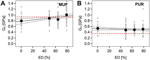 Figure 3. Bond line stiffness/apparent shear modulus Ga as a function of the extraction degree ED for the tensile shear specimens bonded with MUF (A) and PUR (B). Gray dots indicate individual results; the black dots indicate the average result per specimen group. The black dashed lines indicate the linear regression estimate and the confidence band (α = 0.05). The red dotted line indicates the average shear modulus of pure adhesive specimens (equivalent to ED = 100%) derived from tensile test data in Winkler et al.[Citation53]