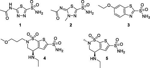 Chart 1. Structures of clinically used CAIs.