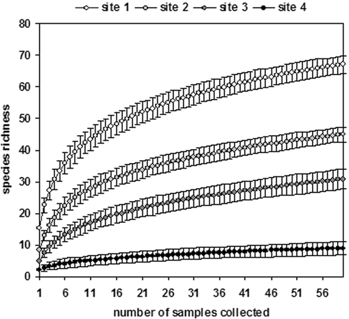 Figure 7. Accumulation curves for the invertebrate taxa sampled in the four sites.