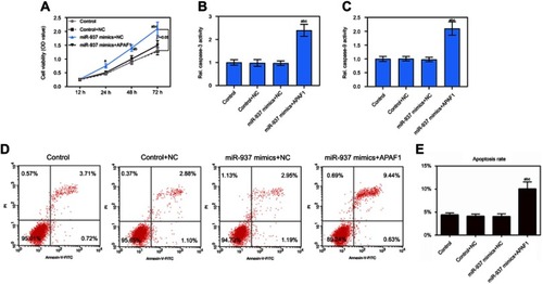 Figure 7 miR-937 regulated cell proliferation and apoptosis by targeting APAF1 gene. (A) The cell viability was detected by CCK8 assay in MCF7 cells co-transfection with miR-937 mimics and APAF1; (B and C) the caspase-3/9 activities measured using biochemical analysis in MCF7 cells co-transfection with miR-937 mimics and APAF1; (D and E) cell apoptosis was detected by flow cytometry assay in MCF7 cells transfection with inhibitors/negative control. Data are presented as the mean ± standard deviation. ap<0.05 versus control group, bp<0.05 versus control+NC group, cp<0.05 versus miR-937 mimics + NC group.