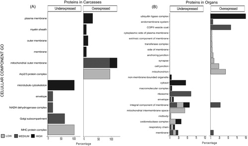 Figure 7. Differential abundant proteins (DAPs) demonstrate enrichment in cellular components. Histograms showing non-redundant one-level hierarchically structured cellular components ontology terms from underexpressed and overexpressed proteins in Carcasses (A) and Organs (B), after chronic exposure to low (2.25 mGy/day), medium (21.01 mGy/day), and high (204.3 mGy/day) doses of IR. X-axis shows the percentage of the enrichment of each term in the non-redundant two level hierarchically structured cellular component terms from DAPs, obtained after using CirGO (Supplementary Files S2 and S3). Y-axis shows a non-redundant two level hierarchically GO term corresponding to cellular component.