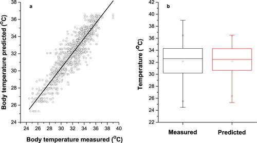 Figure 7. Measured and predicted pig’s body temperature in Cascade Forward Back-propagation neural network for log-sigmoid transfer function with 16 neurons in hidden layers. (a) Scatter plot of measured and predicted pig’s body temperature. (b) Box plot of measured and predicted pig’s body temperature.