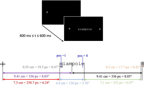 Figure 1. Experimental design. Top: Illustration of the time course of a trial during the learning phase. Bottom: Distance (in cm, pixels and degrees) between items and reference frame for counting letter positions (illustrated by pos=1 for the first and pos=8 for the last letter). (To view this figure in colour, please see the online version of this journal.)