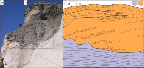 Figure 10. (a) Gravel clinoforms of LF 5 dipping at 20° from right to left and lying unconformably on LF 2 rhythmites and interdigitating vertically with planar bedded gravelly sand and sandy pebble gravel. (b) Stratigraphical and structural interpretation of panel a, location labelled on Figure 3.