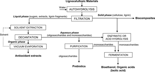 Supplementary Figure 1. General scheme of a biorefinery process. Figura adicional 1. Esquema general de un proceso de biorrefinería.