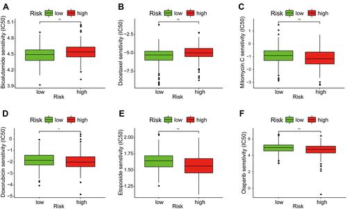 Figure 12 Assessment of medical treatment in low- and high-risk groups. (A–F) Correlation between the signature and the IC50 of the drugs: (A) Bicalutamide, (B) Docetaxel, (C) Mitomycin C, (D) Doxorubicin, (E) Etoposide, and (F) Olaparib. *P< 0.05 and **P< 0.01.