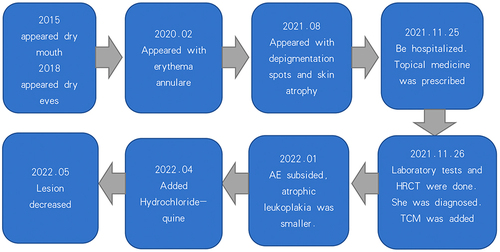 Figure 3 Timeline.