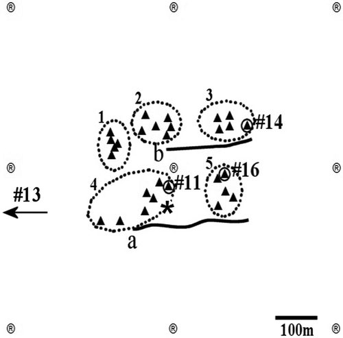 Figure 2. Map of the study area with the position of fish. a and b: longlines. Triangles, artificial units; *, release site of tagged fish; circles, position of fish as recorded from VR60 manual tracking; ®, VR2 receivers; dotted circles, artificial reefs; arrow, movement direction of fish #13.