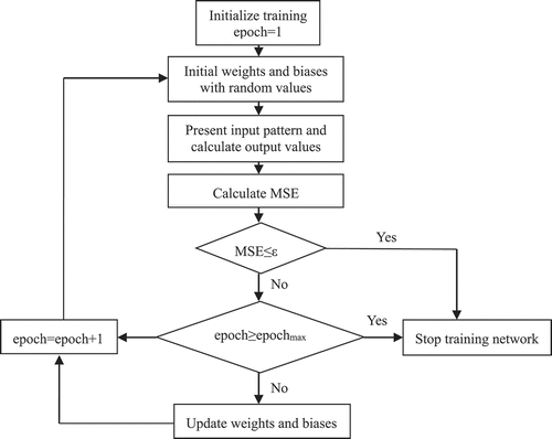 Figure 2. Schematic of the back-propagation training process.