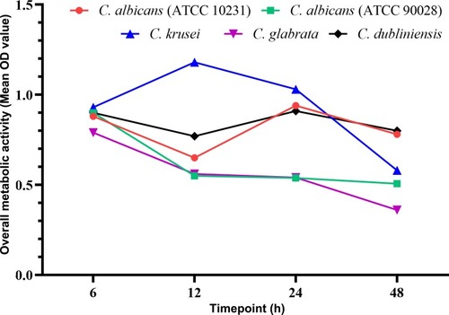 Figure 4 The overall metabolic activity of Candida biofilms at four time-points (6, 12, 24, and 48 h) was determined using the mean OD values at all berberine concentrations. With the prolongation of drug action time, the mean OD values were decreased broadly, especially for C. krusei and C. glabrata.