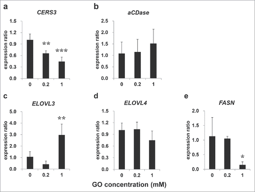 Figure 3. Expression of ceramide and fatty acid metabolism-associated genes. Expression of CERS3 (a), aCDase (b), ELOVL3 (c) ELOVL4 (d) and FASN (e) in EPISKIN after 72 h exposure to glyoxal as determined by real-time RT PCR. All results are expressed as the mean ± SD of n = 3 replicates. *p < 0.05, **p < 0.01, ***p < 0.001.