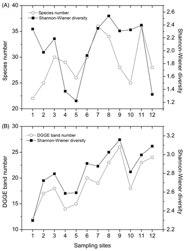 Figure 5. Variations in species number and the Shannon–Wiener index of plankton determined with the morphological (A) and DGGE (B) methods.