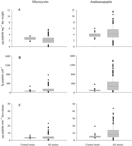 Fig. 2. Variability of microcystin (MC) and anabaenopeptin (APN) contents within the control strain P. agardhii No. 32 and between strains of P. agardhii and P. rubescens (n = 49). The control strain was used as a reference during all experiments to standardize for within strain variation. MC/APN content per (A) dry weight (three outliers of APN contents not shown), (B) cells and (C) biovolume (two outliers of APN contents not shown).