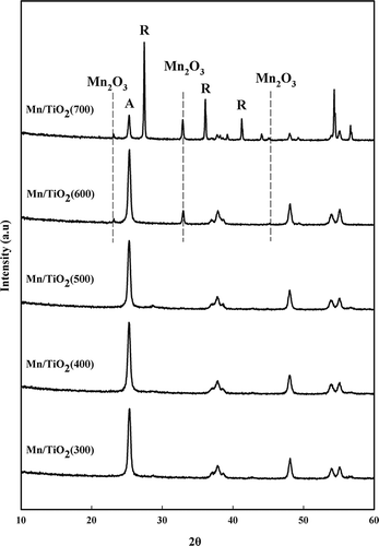 Figure 2. X-ray diffraction patterns of the Mn/TiO2 catalysts with different calcination temperatures (A = anatase TiO2; R = rutile TiO2).