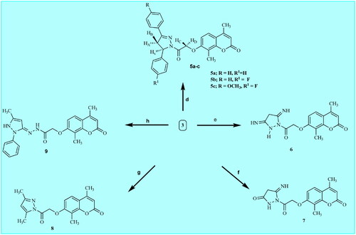 Scheme 2. Synthetic pathways for preparation of target coumarin derivatives 5a-c and 6–9. Reagents: d) chalcone 4a-c, NaOH, absolute ethanol, reflux 72 h; e) malononitrle, absolute, ethanol, reflux 8 h; f) ethylcyanoacetate, absolute ethanol, reflux 9 h; g) acetylacetone, absolute ethanol, reflux 15 h; h) 3-methyl-1-phenyl-2-pyrazoline-5-one, dioxane, reflux 12 h.