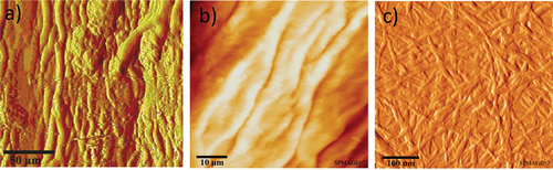 Figure 4. AFM topography of (a) macro, (b) micro and, (c) nano fibers derived from banana pseudo stem (Neelamana, Thomas, and Parameswaranpillai Citation2013).