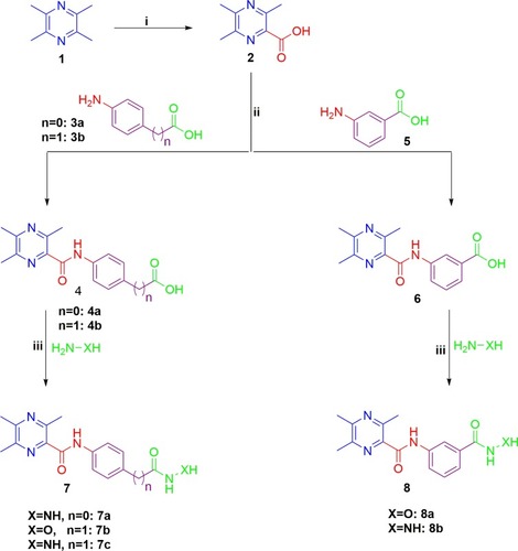 Scheme 1 Synthesis of target HDAC inhibitors 7a-c and 8a,b; Reagents and conditions: (i) KMnO4 solution, heating 50°C 12 h, (ii) CDI, THF, r.t. 2 h, then TFA, r.t.10 h, (iii) THF, CDI, 60°C 6 h.