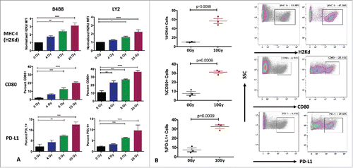 Figure 4. Effects of RT on tumor immunogenicity. (A) Flow cytometric analysis of expression of MHC-I, CD80 and PD-L1 on LY2 and B4B8 HNSCC tumor cells after exposure to increasing doses of RT. Two-way ANOVA was performed to compare statistical significance between the groups .(B) Flow cytometric analysis of the expression of MHC-I, CD80 and PD-L1 on LY2 tumors harvested 72 hours after RT or sham. AquaVi and CD45 staining was performed to gate for live and CD45 negative cells. Bars represent SEM from 3 independent tumor samples. P-values represent significance based on Unpaired T-test analysis.