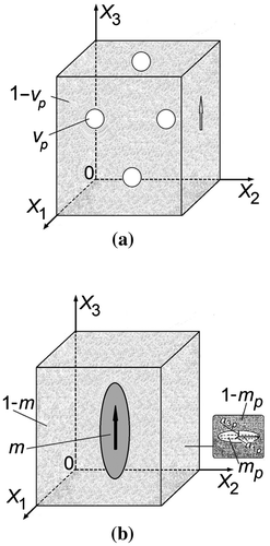 Figure 3. Schematics of the porous structure at (a) high relative densities (3–0 composite model) and (b) low relative densities (‘composite in composite’ model). In (a) vp is the effective porosity of the sample, and its remanent polarisation vector is shown with the arrow on the right side. In (b) m is the volume fraction of the monolithic poled FC inclusion with semiaxes a1 = a2 and a3. 1 – m is the volume fraction of the unpoled porous ceramic matrix wherein mp is the volume fraction of air inclusions with semiaxes a1p = a2p and a3p. The remanent polarisation vector of the FC inclusion is shown with the arrow. The effective porosity of the sample shown in (b) is vp = (1 – m)mp.