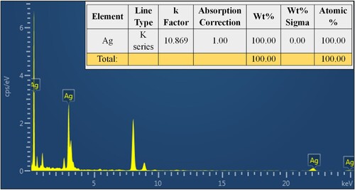 Figure 5. EDX analysis showed that the synthesized silver nanoparticles were composed of 100% elemental silver (Ag) (inserted), confirming the purity of the synthesized VJ@AgNPs.
