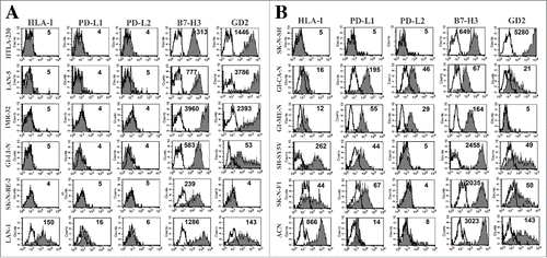 Figure 1. Analysis of the constitutive expression of PD-L1 and PD-L2 in NB cell lines. Representative cytofluorimetric analysis of the expression of PD-L1, PD-L2 and HLA-I in MYCNampl (panel A) and non-MYCNampl (panel B) NB cell lines. B7-H3 and GD2 are shown for comparison. White profiles refer to cells incubated with isotype-matched controls. Values inside each histogram indicate the Median Fluorescence Intensity (MFI).