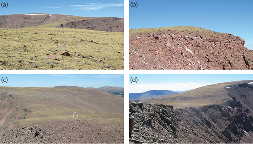 Figure 2. Photographs of summit flats in the Uinta Mountains. (a) Classic expression of periglacial summit flats truncated by alpine glacial erosion on both sides. (b) Exposed bedrock at the top of a glacial headwall capped by regolith at the edge of a summit flat. (c) The flat-floored saddle hosting the Chepeta site viewed from the west. The white oval highlights the Chepeta weather station. (d) The Chepeta site viewed from the northeast. Photopoint locations and orientation of each image are shown in Figure 1.