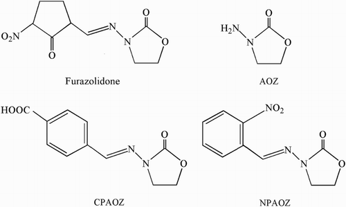 Figure 1. The molecular structures of furazolidone, AOZ, CPAOZ and NPAOZ.