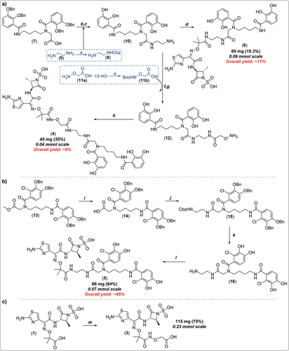Figure 4. Summary of synthetic strategies reported by the patent assignees required to prepare novel analogues 3–6. reagents and conditions: (a)* benzylchloroformate, CH2Cl2, 0°C, 3.5 h; (b) N-hydroxysuccinimide (NHS), EDC·HCl, DMF, rt, then 9, several hours; (c)* 10% Pd/C, MeOH, H2 balloon, rt, 16 h; (d) 1 in DMF, HBTU, DIPEA, 10 min, rt, then 10 in DMF, rt, 16 h; (e)* Et3N, (Boc)2O, CH2Cl2, 0°C to rt; (f) 11b in DMF, HBTU, DIPEA, 10 min, rt, then 10 in DMF, 16 h; (g)* TFA, CH2Cl2, rt; (h) 1, THF-H2O (50/50, v/v; pH = 4.5), EDC·HCl; (i)* NaOH, THF-H2O (2:1; pH = 4.5), rt, 3 h, then 1N HCl; (j) NHS, EDC·HCl, DMF, rt, 3 h, then benzyl (2-aminoethyl)carbamate (9), DIPEA, rt, 16 h; (k)* 10% Pd/C, MeOH, H2 balloon, rt, 16 h; (l) 1 in DMF, HBTU, DIPEA, 10 min, rt, then 16 in DMF, rt, 16 h; (m) NHS, EDC·HCl, DMF, rt, then 11a, DIPEA, rt, several hours. Note that asterisk (*) denotes product used in the next step without further purification. For multi-step reaction sequences, overall yields (in red) were estimated using the longest linear sequence/available data.