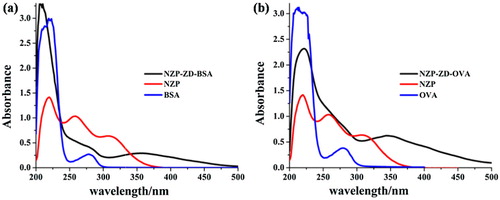 Figure 3. UV scans of curves of NZP, protein and antigen. (a) the UV-Vis spectroscopy of immunogen (NZP-ZD-BSA); (b) the UV-Vis spectroscopy of coating antigen (NZP-ZD-BSA).