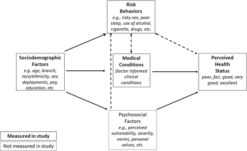 Figure 1 Study Conceptual Framework Showing Relationships between Perceived Health Status, Medical Conditions and Risk Behaviors.