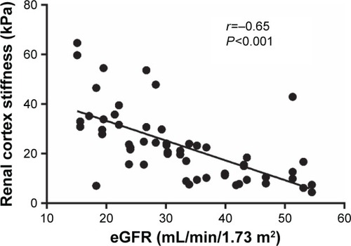 Figure 1 The inverse correlation between renal cortex stiffness and estimated glomerular filtration rate (eGFR).