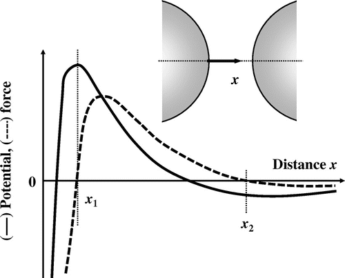 Fig. 2. Schematics of the distribution of potential (solid curve) and force (broken curve) between two adjacent oil droplets.