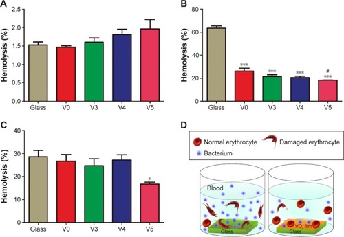 Figure 11 Hemolysis rate of red blood cells after 24 hours of incubation on the five specimens.Notes: (A) Erythrocytes were incubated on the five specimens without bacteria; (B) erythrocytes were incubated on the five specimens with Gram-positive Staphylococcus aureus; (C) erythrocytes were incubated on the five specimens with Gram-negative Pseudomonas aeruginosa; (D) interactions of erythrocytes and bacteria upon coexistence in the presence/absence of VOx films. *P<0.05, ***P<0.001 vs Glass; #P<0.05 vs V0. Data expressed as means ± standard deviation (n=3).Abbreviations: V0, homogeneous vanadium metal nanoparticles deposited on quartz glass; V3, homogeneous V2O3 nanoparticles deposited on quartz glass; V4, homogeneous VO2 nanoparticles deposited on quartz glass; V5, homogeneous V2O5 nanoparticles deposited on quartz glass; VOx, vanadium of various valences.