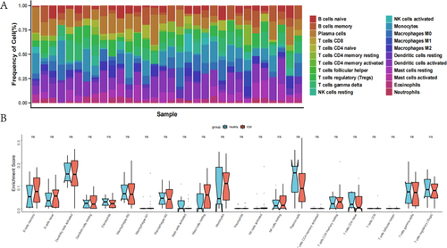 Figure 4 An examination of immunological infiltration. (A) Displays the relative proportion of immunological infiltration in each sample. (B) The immune cell violin chart illustrates the considerable difference between ICM patients and controls. X-axis: grouping of high and low risk; y-axis: enrichment Score.