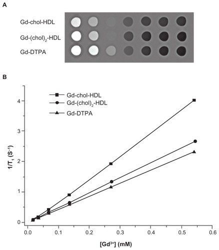 Figure 3 (A) In vitro T1-weighted magnetic resonance images of Gd-chol-HDL, Gd-(chol)2-HDL, and Gd-DTPA in Tris buffers (3T, repetition time/echo time = 10,000/7.6 msec). The gadolinium concentration of each tube was 0.6, 0.3, 0.15, 0.08, 0.04, and 0.02 mM (from left to right), respectively. (B) Longitudinal relaxation rates (1/T1) of Gd-chol-HDL, Gd-(chol)2-HDL, and Gd-DTPA in Tris buffer with respect to gadolinium concentration.Abbreviations: Gd, gadolinium; chol, cholesterol; HDL, high-density lipoprotein; DTPA, diethylenetriamine penta-acetic acid.