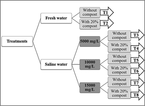 Figure 1. Layout of the different treatments used to test blue panic growth under different saline conditions