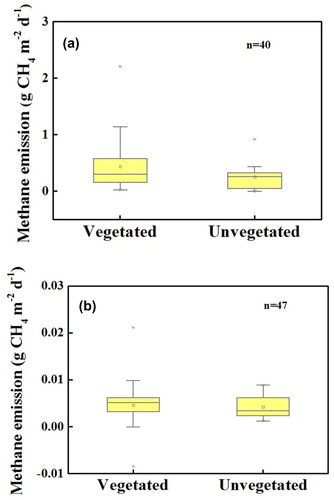 Figure 3. CH4 flux from vegetated or unvegetated constructed wetlands, (a) sewage; (b) modifying Hoagland nutrient solution. Boxes show median and interquartile range. Outliers are identified as points outside 1.5 times the interquartile range.
