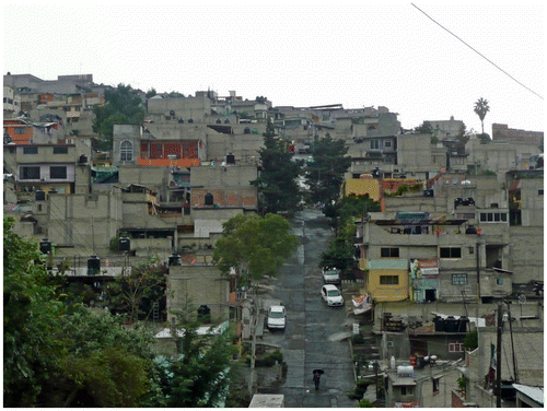 Figure 3. Lomas de San Agustín, Mexico City, 2012. Source: author’s photograph.