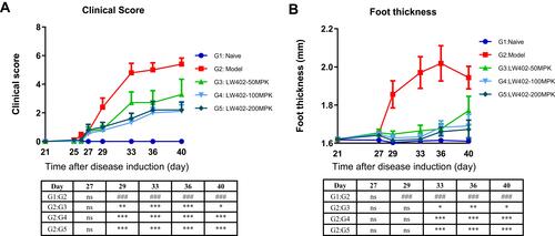 Figure 5 Efficacy of LW402 in mCIA model.