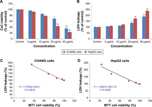 Figure 3 Cytotoxicity of rGO–Ag nanocomposite in CHANG and HepG2 cells for 24 h, as determined by (A) MTT and (B) LDH tests. Each value represents the mean±SE of three experiments. n=3, *p<0.05 and **p<0.01 vs control. A significant positive correlation between the LDH leakage and MTT cell viability in CHANG cells (C) and HepG2 cells (D) after rGO–Ag nanocomposite exposure.Abbreviations: rGO–Ag, silver-doped reduced graphene oxide; LDH, lactate dehydrogenase; SE, standard error.