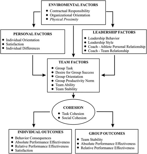 Figure 1. Adjusted conceptual system for cohesiveness in sport teams.Note: Own illustration based on Carron (Citation1982, p. 131)