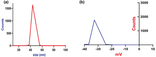 Figure 4. (a) DLS and (b) Zeta potential for the green synthesized Artemisia annua extract nanoparticles using the sonochemical technique.