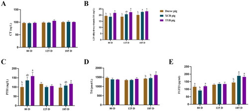 Figure 4. Differences in serum indicators related to Ca (A–C) and P (D–E) metabolism among three breeds of growing-finishing pigs. Different small letters (a and b) indicate significant differences among different pig breeds at the same day-old (p < 0.05). The replicates of duroc, XCB, and TYB pigs at 80 D were 9, 9, and 10, respectively. The replicates of duroc, XCB, and TYB pigs at 125 D were 9, 9, and 8, respectively. The replicates of duroc, XCB, and TYB pigs at 185 D were 9, 10, and 9, respectively. 80, 125, and 185 D represent 80, 125, and 185 day-old, respectively.CT = calcitonin; PTH = parathyroid hormone; T4 = thyroxine; FGF23 = fibroblast growth factor 23.