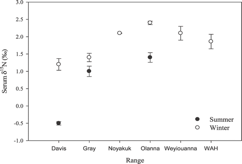 FIGURE 6 Mean (±SE) serum δ15N values during summer and winter from Seward Peninsula reindeer and the Western Arctic Herd (WAH) caribou. (n for each group can be found in Table 3).