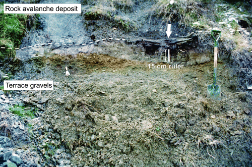 Figure 12  Photograph of sample site two containing the buried tree (Wk 12094), twigs (Wk 12095) and bark fragments (Wk 12096) within the contact between the rock avalanche and the terrace material (Grid ref K35/017 644). The buried tree is visible between the white arrow and 15 cm ruler.