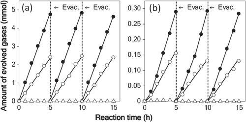 Figure 10. Time courses of H2 and O2 evolution on RuO2-loaded GaN:ZnO under (a) UV light irradiation and (b) visible light irradiation. Catalyst 0.3 g, aqueous H2SO4 solution (pH = 3) 390 ml, inner-irradiation-type Pyrex reaction cell, with and without an aqueous NaNO2 solution filter, high-pressure mercury lamp (450 W). (●) H2, (○) O2, (△) N2. (Reproduced with permission from [Citation56]. Copyright 2005 American Chemical Society).