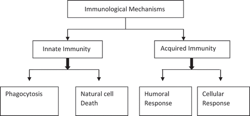 Figure 2. Immunological mechanisms and their different types.