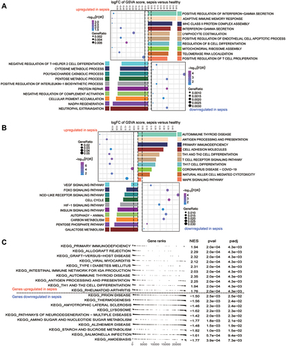 Figure 3 Biological functions and KEGG pathways enriched for module genes. (A) Significant up- or down-regulated biological processes in module genes of sepsis patients relative to controls, as quantified by gene set variation analysis (GSVA). FC, fold change. (B) Significant up- or down-regulated KEGG signaling pathways in module genes of sepsis patients relative to controls, as quantified by GSVA. (C) Up- or down-regulated KEGG pathways of gene set enrichment results in sepsis patients relative to controls. A P value < 0.05 was considered statistically significant.